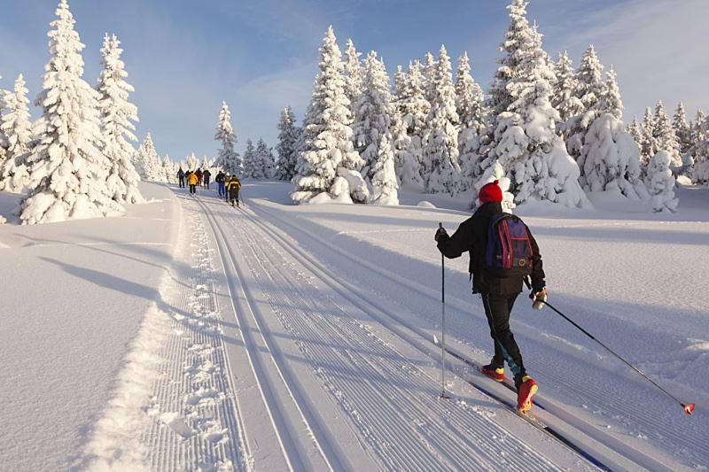 Ferienwohnung Graubunden Bonaduz ภายนอก รูปภาพ