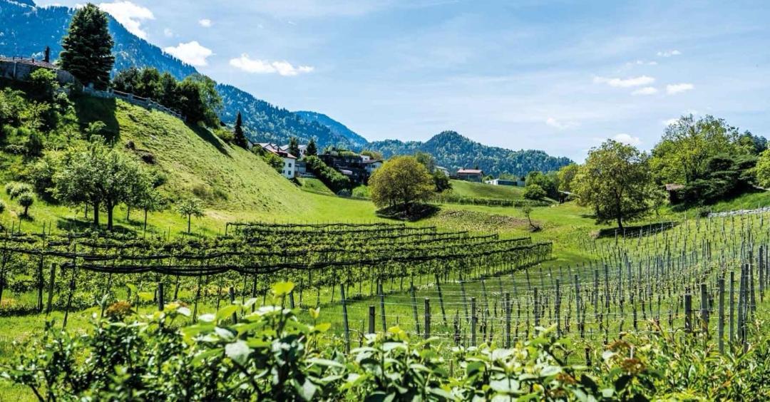 Ferienwohnung Graubunden Bonaduz ภายนอก รูปภาพ